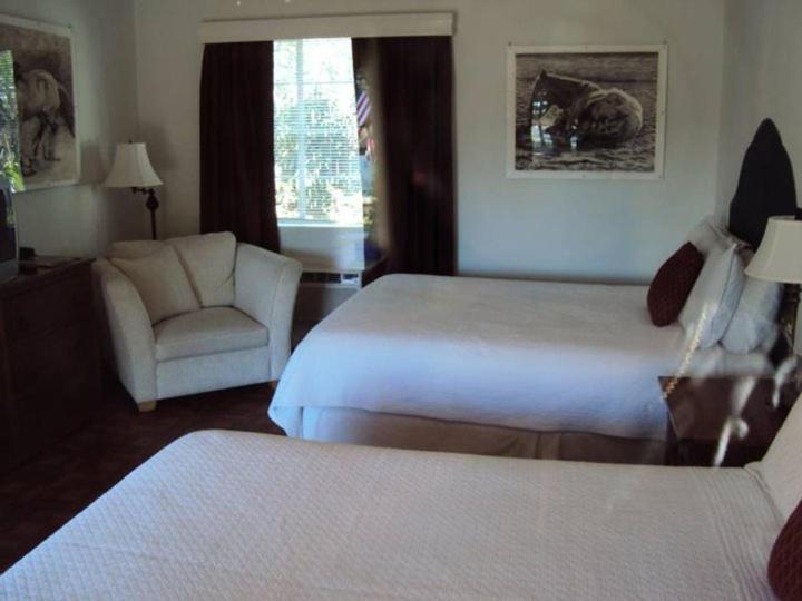 La Siesta Motel Tucson Rom bilde