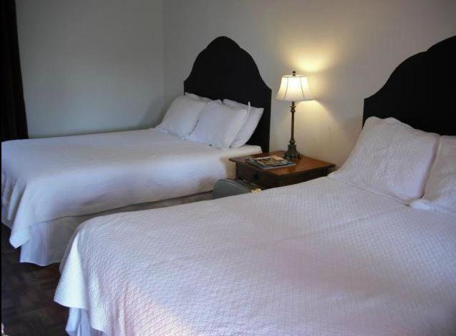 La Siesta Motel Tucson Rom bilde