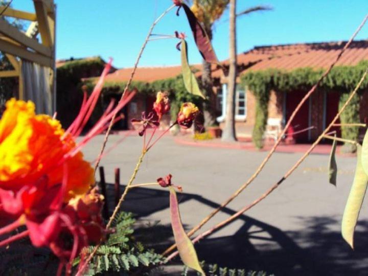 La Siesta Motel Tucson Eksteriør bilde